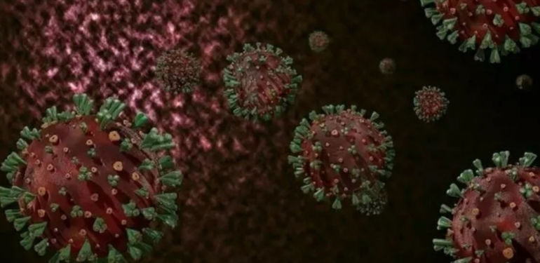 Mehmet Ceyhan açıkladı! İşte maymun çiçeğinde en riskli il