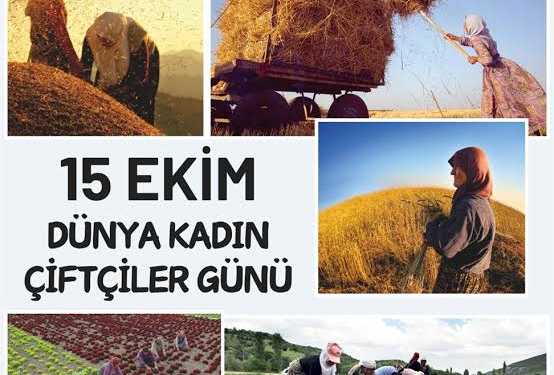 15 Ekim Dünya Kadın Çiftçiler Günü: Toprağın Kalbi Kadın Emeğiyle Atıyor