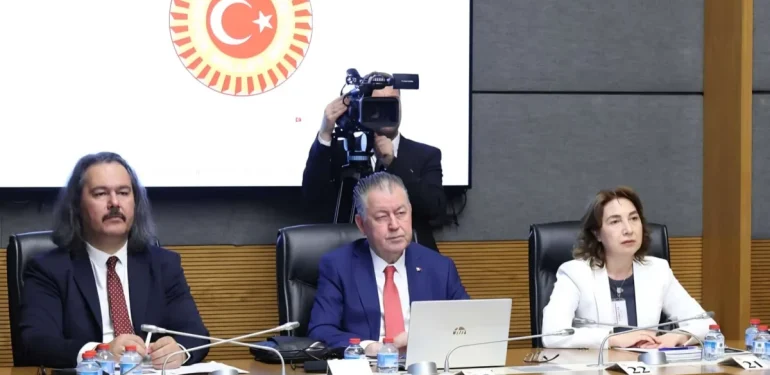 TİMBİR Akademik Kurul Başkanı Prof. Dr. Kamer’den TBMM’de dijital güvenlik sunumu: “Çocukların dijital güvenliği artırılmalı”